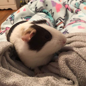 Meet your Posher, Chloe